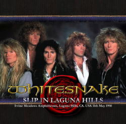 SLIP IN LAGUNA HILLS / WHITESNAKE