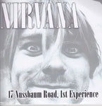 NIRVANA / 17 NUSSBAUM ROAD ,1ST EXPERIENCE