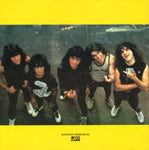 JAPAN TOUR 1987 (1987 year Japan tour brochure) + flyer / ANTHRAX