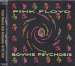 BOVINE PSYCHOSIS / PINK FLOYD