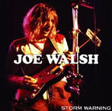 STORM WARNING / JOE WALSH