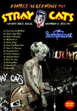 STRAY CATS RAMBLE IN GERMANY 1981 1DVD FOXBERRY FBVD-015 FISHNET STOCKINGS Z01