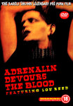 LOU REED ADRENALIN DEVOURS THE BLOOD 1DVD FOXBERRY FBVD-042 IN THE MORNING BAR